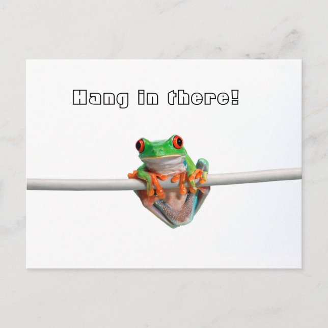 Grüner Laubfrosch - Hänge... Postkarte (Vorderseite)