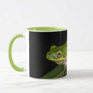 Grüner Laubfrosch (Hyla cinerea) 2 Tasse