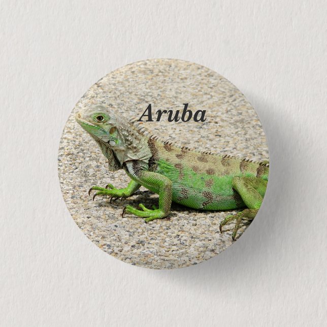 Grüner Leguan Arubas Button (Vorderseite)