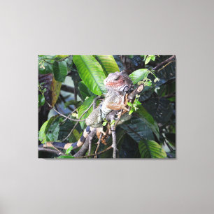 Grüner Leguan im Regenwald Leinwanddruck
