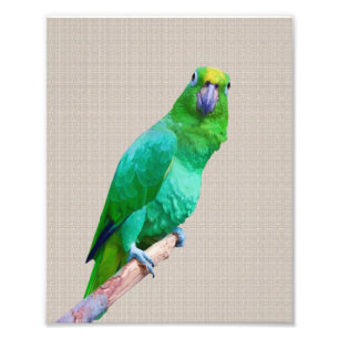 Grüner Macaw-Papagei auf einem Fotodruck