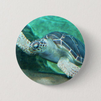 Grüner Meeresschildkröte-Knopf Button
