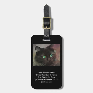Grüner mit Augen schwarze Katzen-Taschen-Umbau Gepäckanhänger