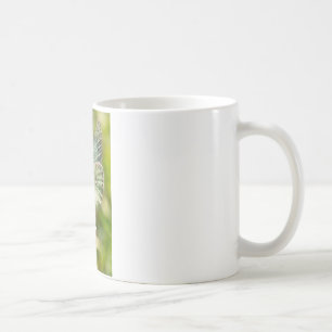 Grüner Nachtfalter auf Falsche Knoblauchkleidung u Kaffeetasse