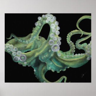 Grüner Oktopus 20 x 16 Poster