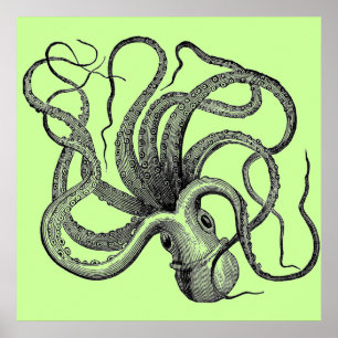 Grüner Oktopus Poster