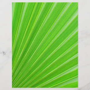 Grüner Palmenblatthintergrund Flyer