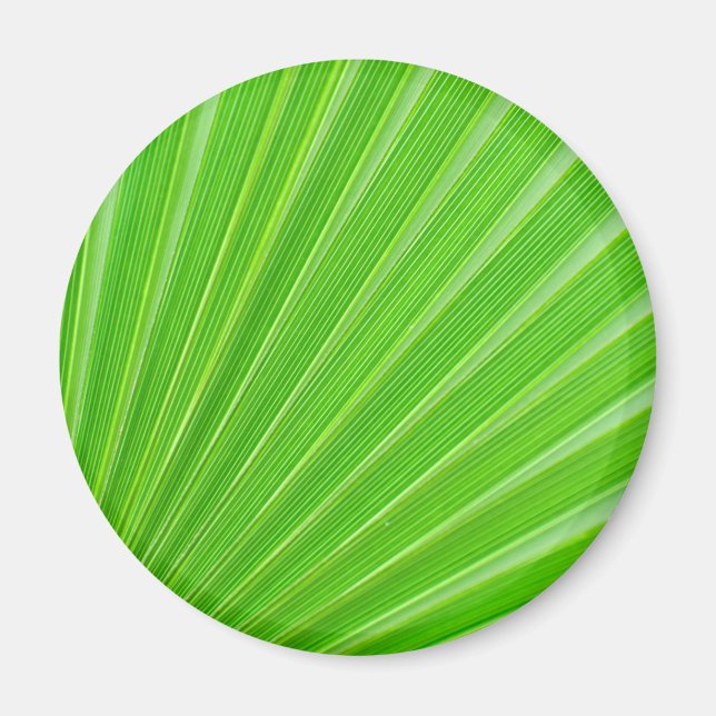 Grüner Palmenblatthintergrund Magnet (Vorne)