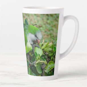 Grüner Papagei Milchtasse