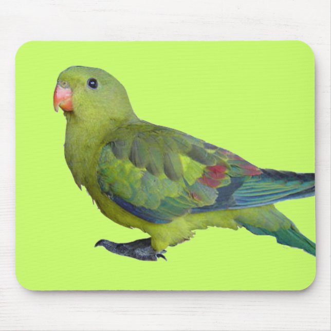 Grüner Papagei Mousepad (Vorne)