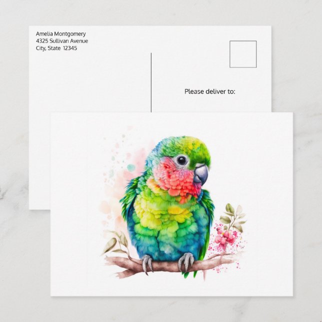 Grüner Papagei - Niedlicher Baby Bird Postkarte (Vorne/Hinten)