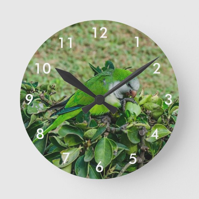 Grüner Papagei Runde Wanduhr (Vorderseite)