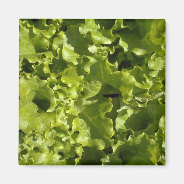 Grüner Salat Magnet (Vorne)