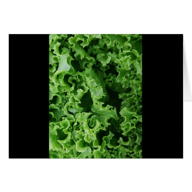 Grüner Salat Nah (Vorderseite (Horizontal))