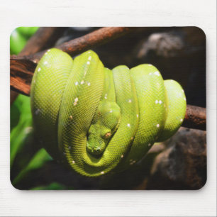 Grüner Schlangenreptil Mousepad