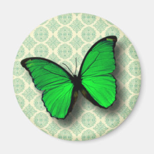 Grüner Schmetterling auf Vintagem Muster Magnet
