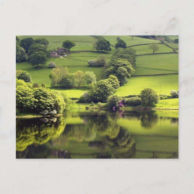 Grüner See Postkarte (Vorderseite)