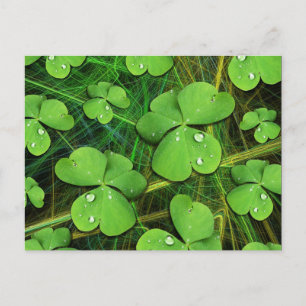 Grüner Shamrock St. Patrick's Day Postkarte