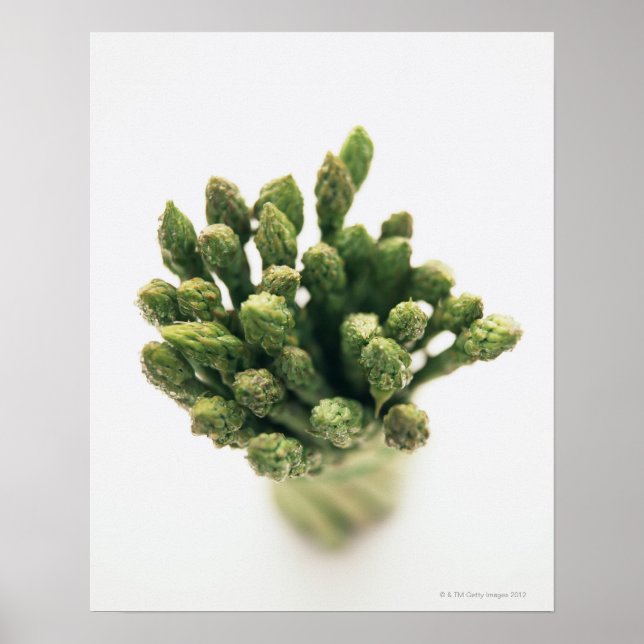 Grüner Spargel Poster (Vorne)