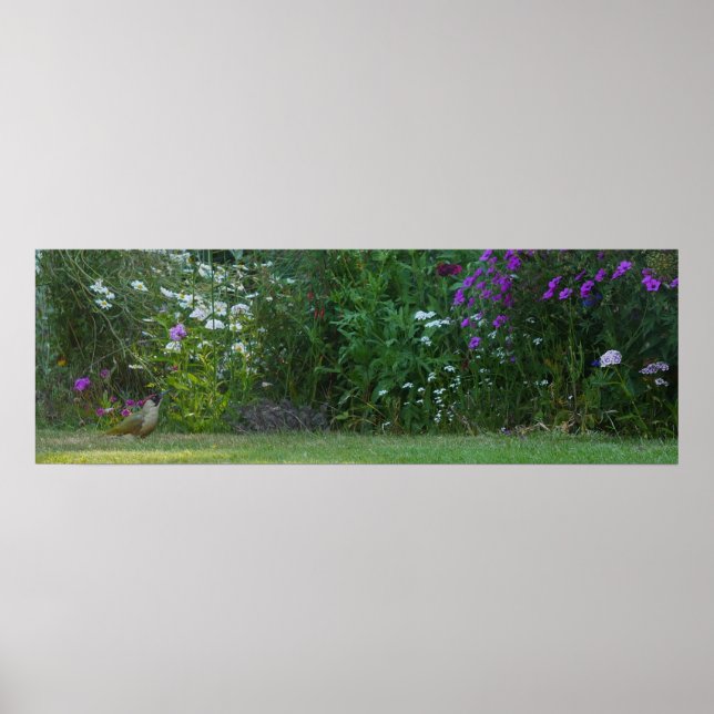 Grüner Specker im Gartenposter Poster (Vorne)