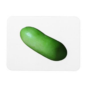 Grüner Squash (Winter Melon) Magnet