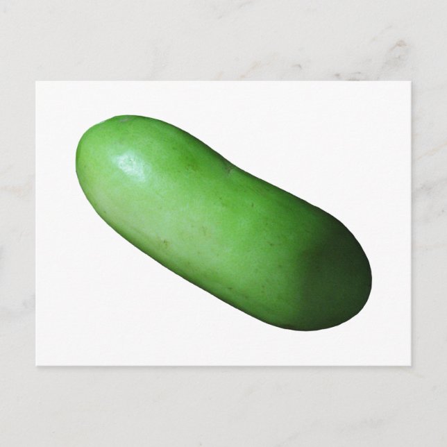 Grüner Squash (Winter Melon) Postkarte (Vorderseite)