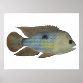 Grüner Terror Poster