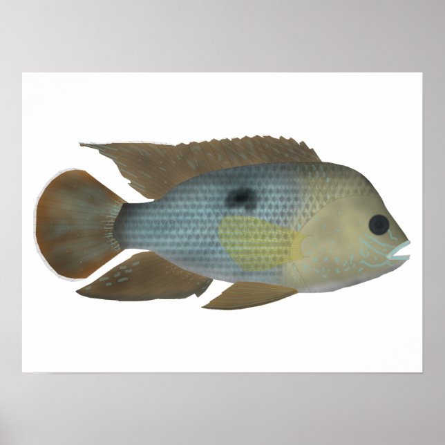 Grüner Terror Poster (Vorne)