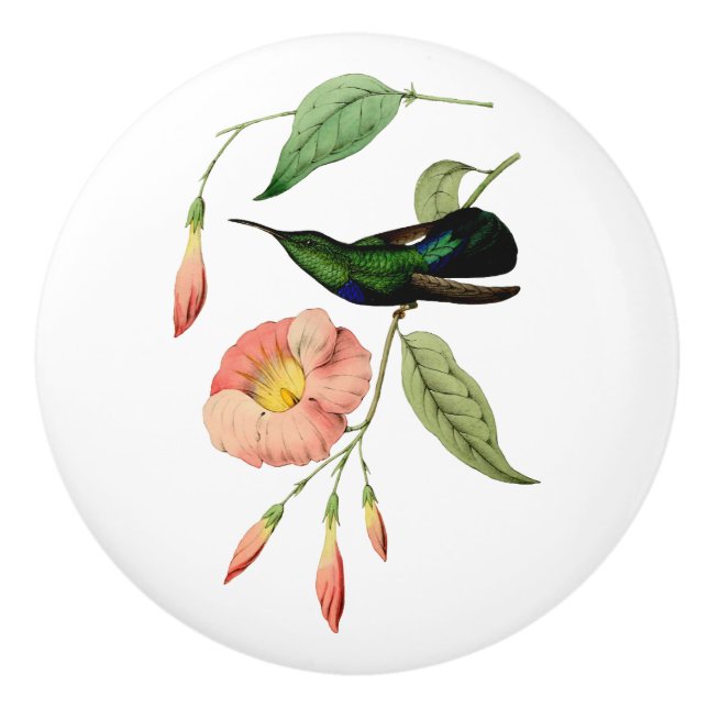 Grüner Throated Carib-Kolibri Keramikknauf (Vorderseite)