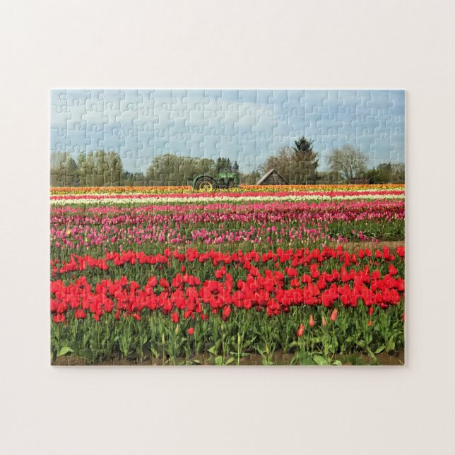 Grüner Traktor in Tulip Field, Oregon (Horizontal)