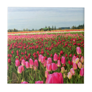 Grüner Traktor in Tulip Field, Oregon Fliese