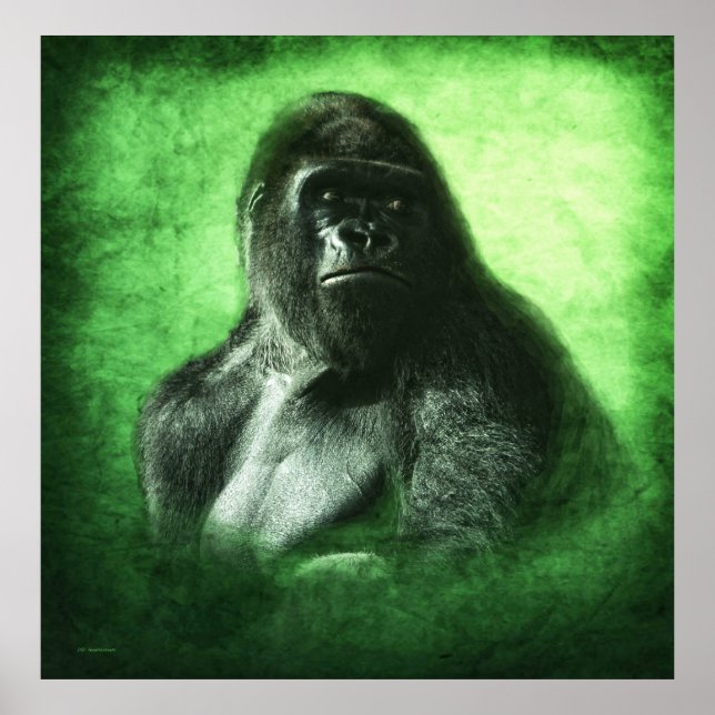 Grüner Traum Poster (Vorne)