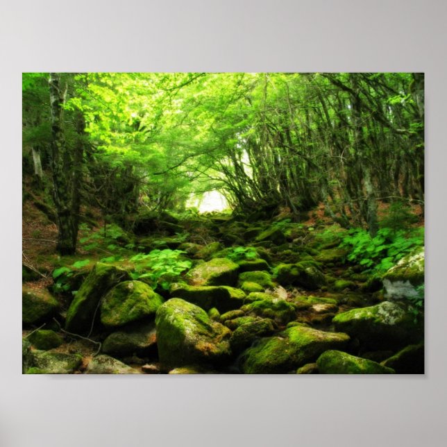Grüner Tunnel Poster (Vorne)