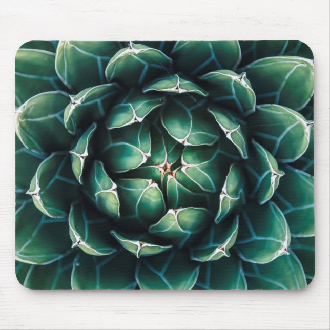 Grüner u. weißer Succulent Mousepad (Vorne)