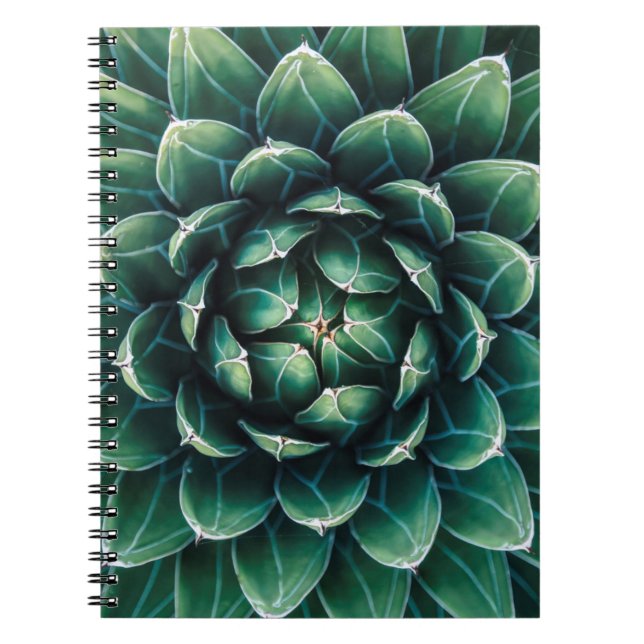 Grüner u. weißer Succulent Notizblock (Vorderseite)