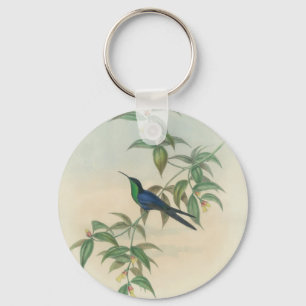 Grüner und blauer Gould Kolibri Schlüsselanhänger