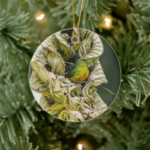 Grüner und gelber Vogel, von Blättern geschütztes Keramik Ornament