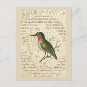 Grüner Vogel auf Ast Postkarte