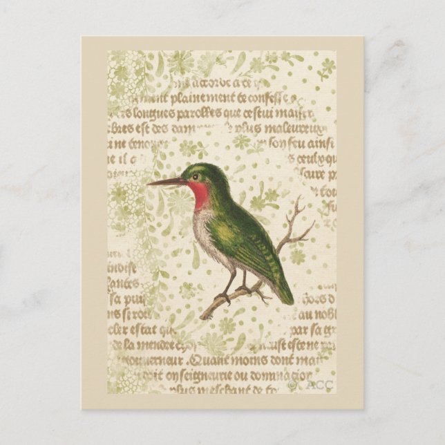 Grüner Vogel auf Ast Postkarte (Vorderseite)