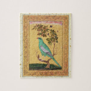 Grüner Vogel, Mughal (Gouache auf Papier)