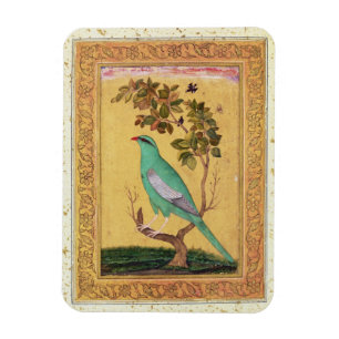 Grüner Vogel, Mughal (Gouache auf Papier) Magnet
