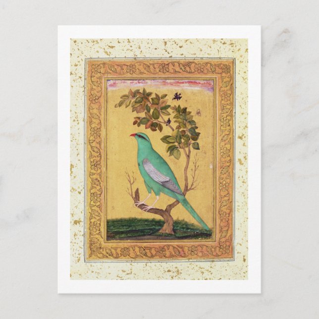 Grüner Vogel, Mughal (Gouache auf Papier) Postkarte (Vorderseite)