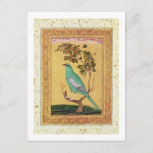 Grüner Vogel, Mughal (Gouache auf Papier) Postkarte