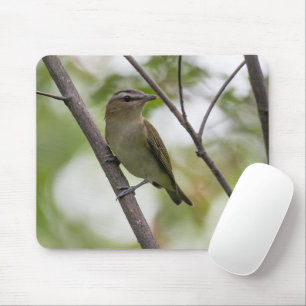 Grüner Vogel, Rot-Mit Augen Vireo, kanadische Foto Mousepad