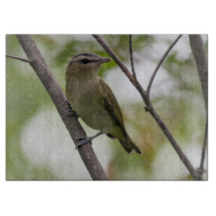 Grüner Vogel, Rot-Mit Augen Vireo, kanadische Foto Schneidebrett