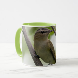 Grüner Vogel, Rot-Mit Augen Vireo, kanadische Foto Tasse