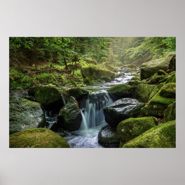 Grüner Wald und Fluss Poster (Vorne)