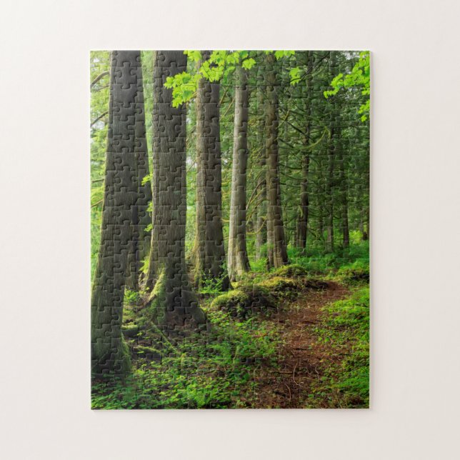 Grüner Waldweg landschaftlich (Vertikal)