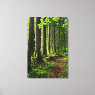 Grüner Waldweg Scenic Leinwanddruck