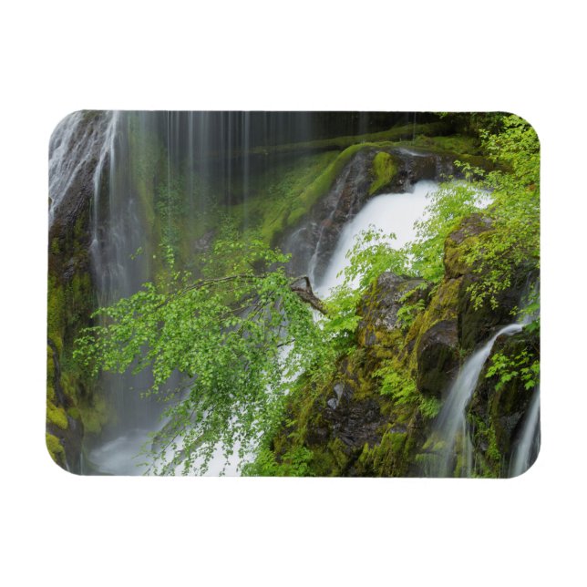 Grüner Wasserfall Landschaft Magnet (Horizontal)